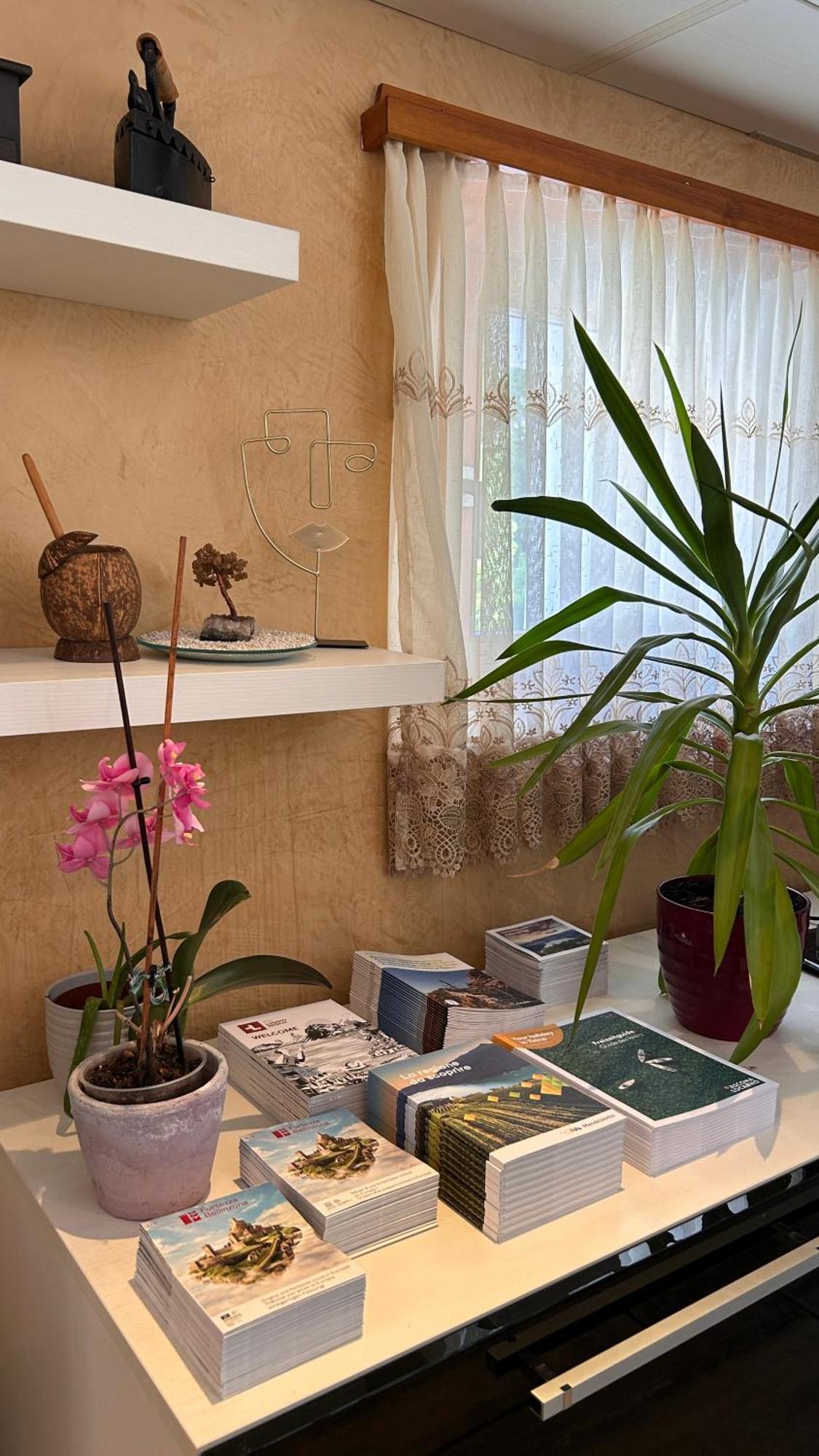 Ferienwohnung A Hilarious Hideaway In Roveredo Exterior foto